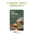 eBook "Mgła mózgowa" - dietetyk Justyna Lewicka
