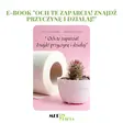 eBook  „Och te zaparcia! Znajdź przyczynę i działaj” 