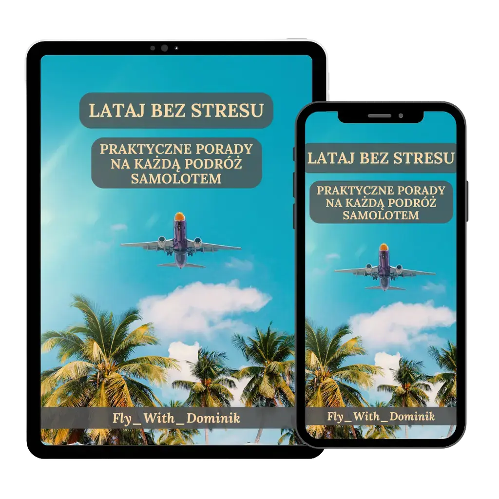 Spotkajmy się online – indywidualna sesja „Pokonaj strach przed lataniem” - Fly_With_Dominik